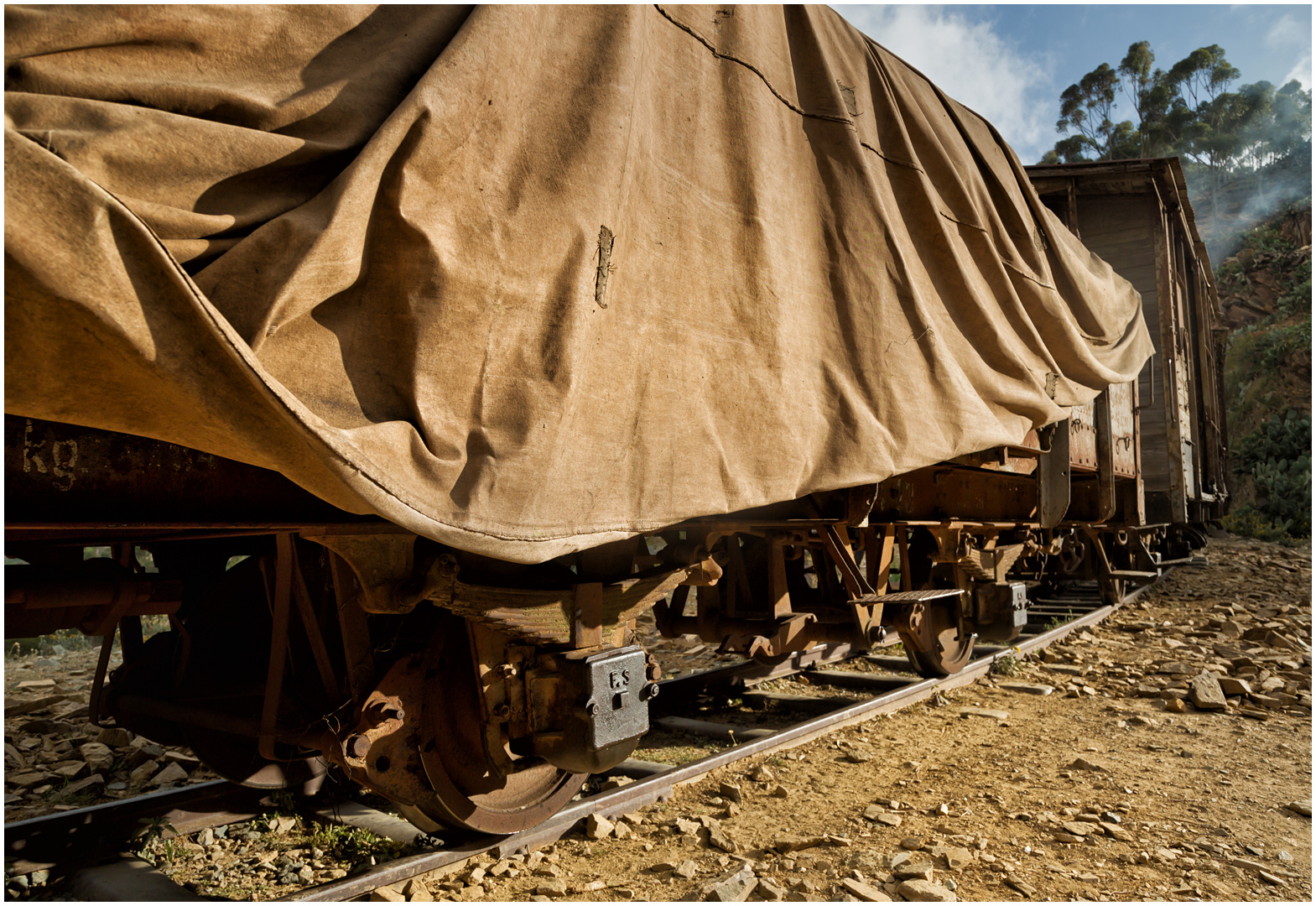 Bergmallets in Eritrea CXLVIII