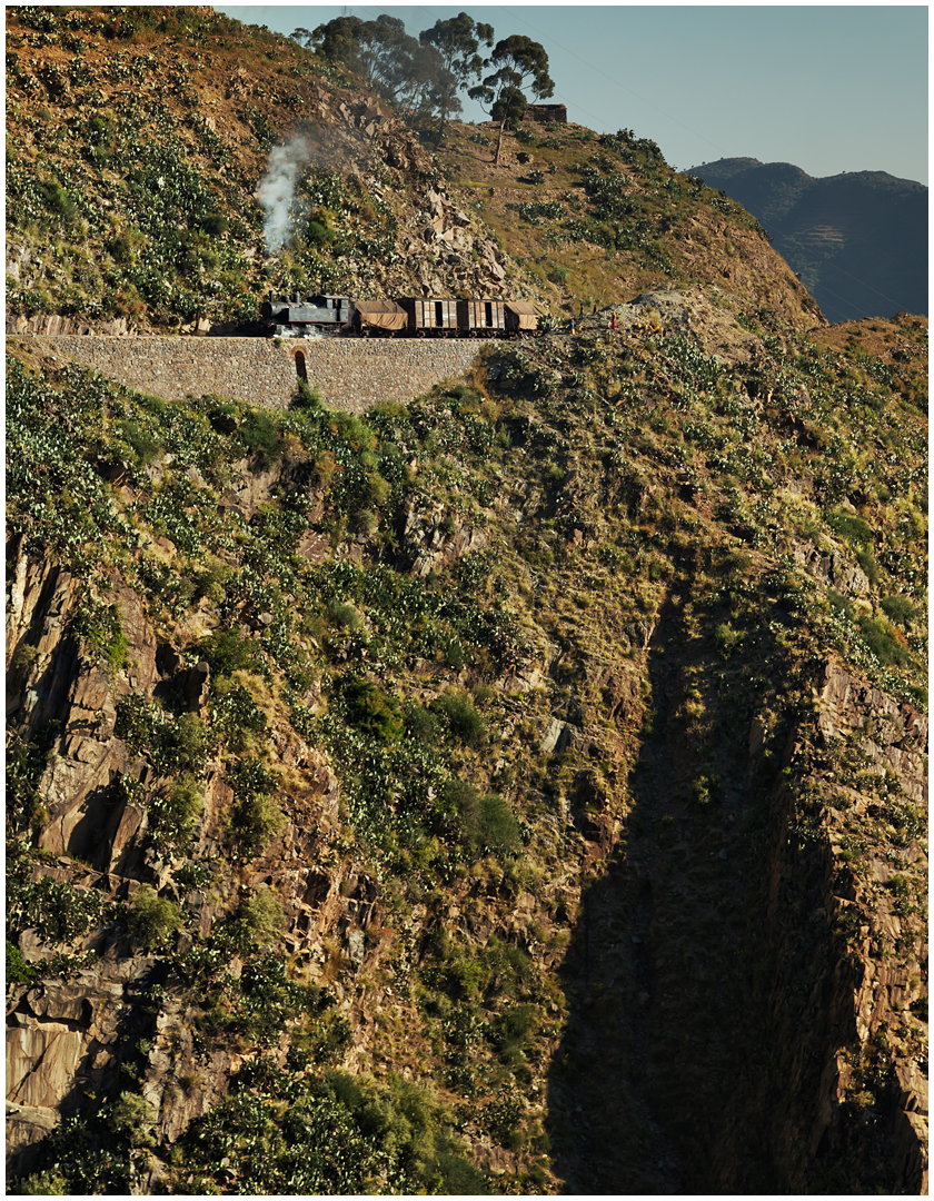 Bergmallets in Eritrea CXXVI