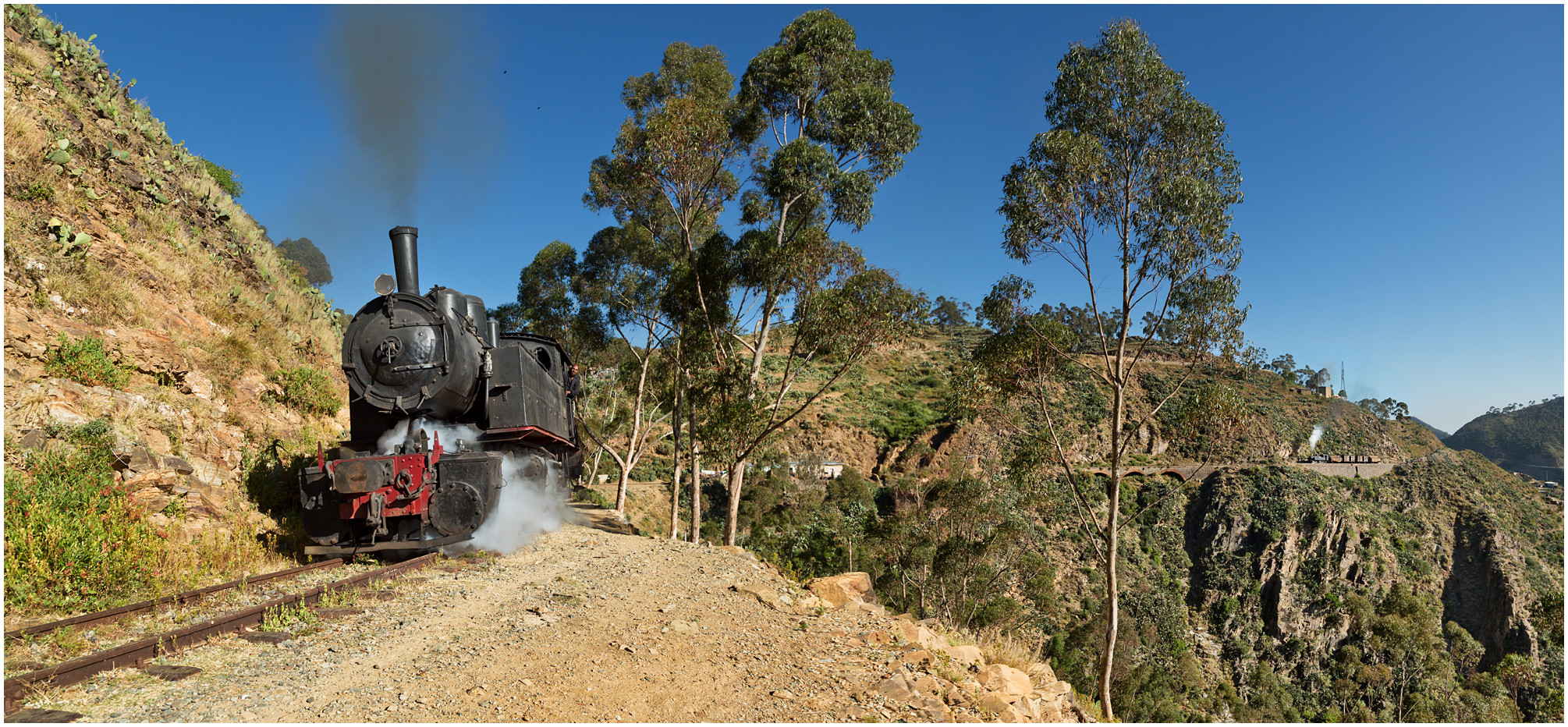 Bergmallets in Eritrea CXXX