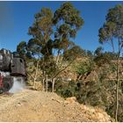 Bergmallets in Eritrea CXXX