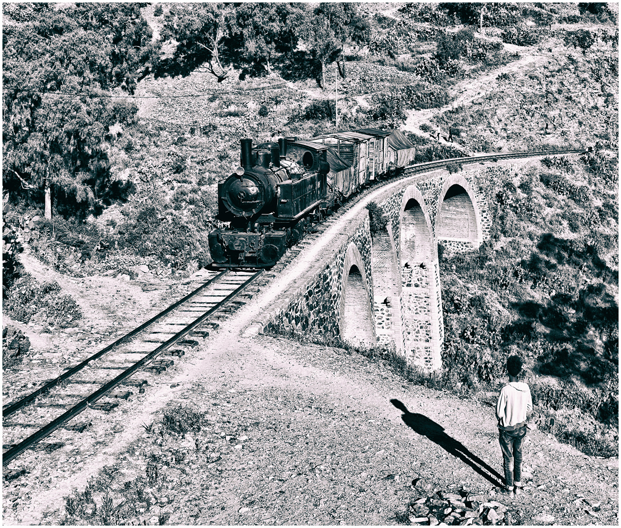 Bergmallets in Eritrea CXXXI