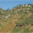 Bergmallets in Eritrea LIII