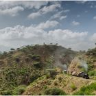 Bergmallets in Eritrea LXI