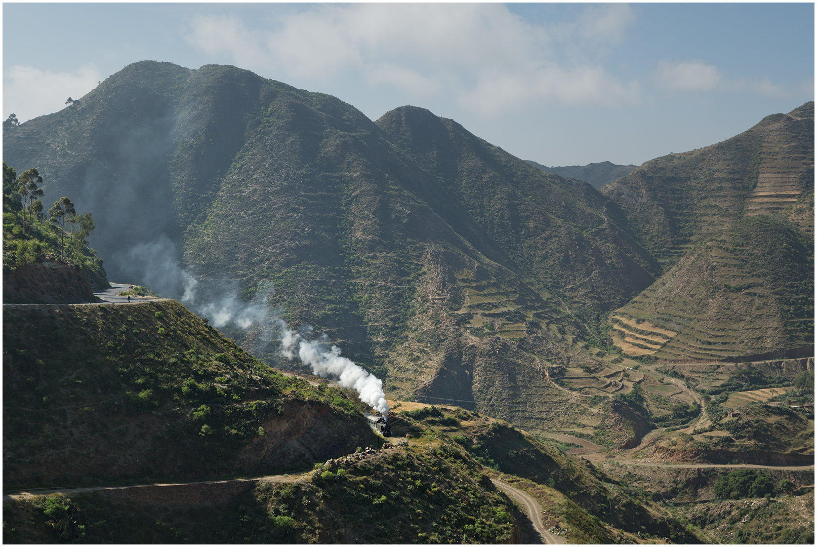 Bergmallets in Eritrea LXXX