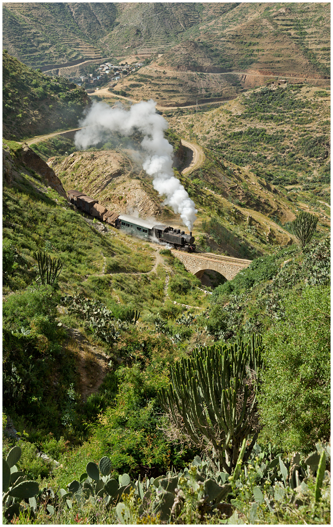 Bergmallets in Eritrea LXXXVI