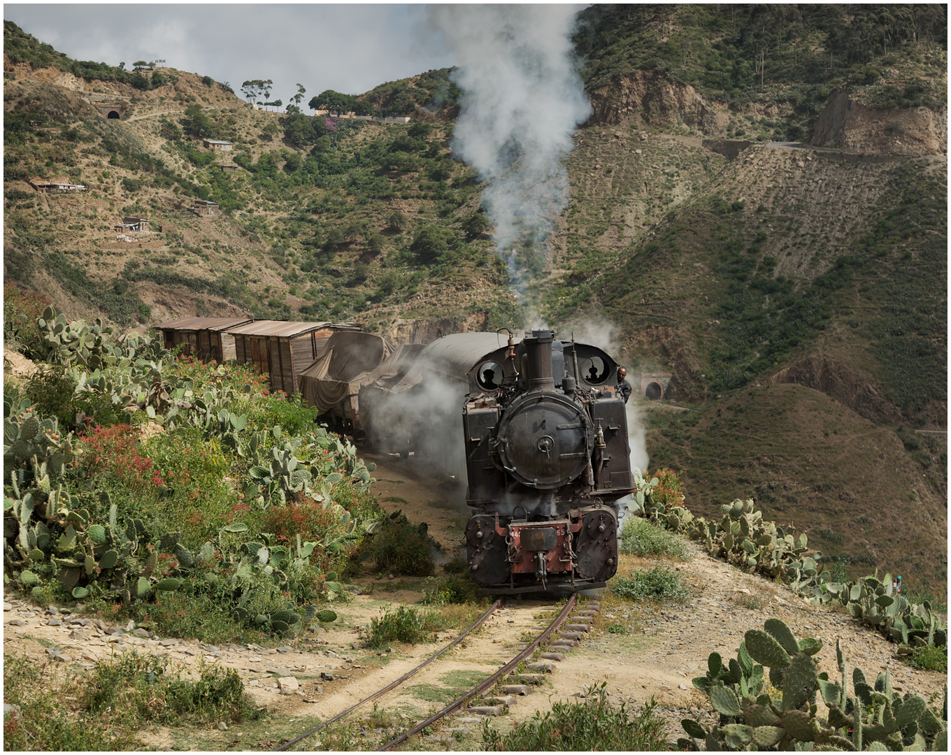 Bergmallets in Eritrea XC