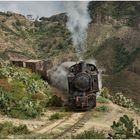 Bergmallets in Eritrea XC