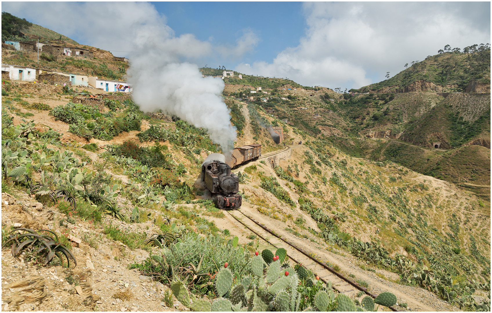 Bergmallets in Eritrea XCIII