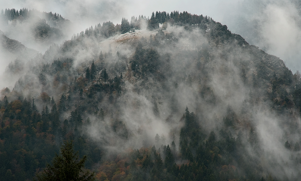 Bergnebel...