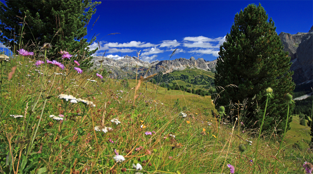 Bergpanorama