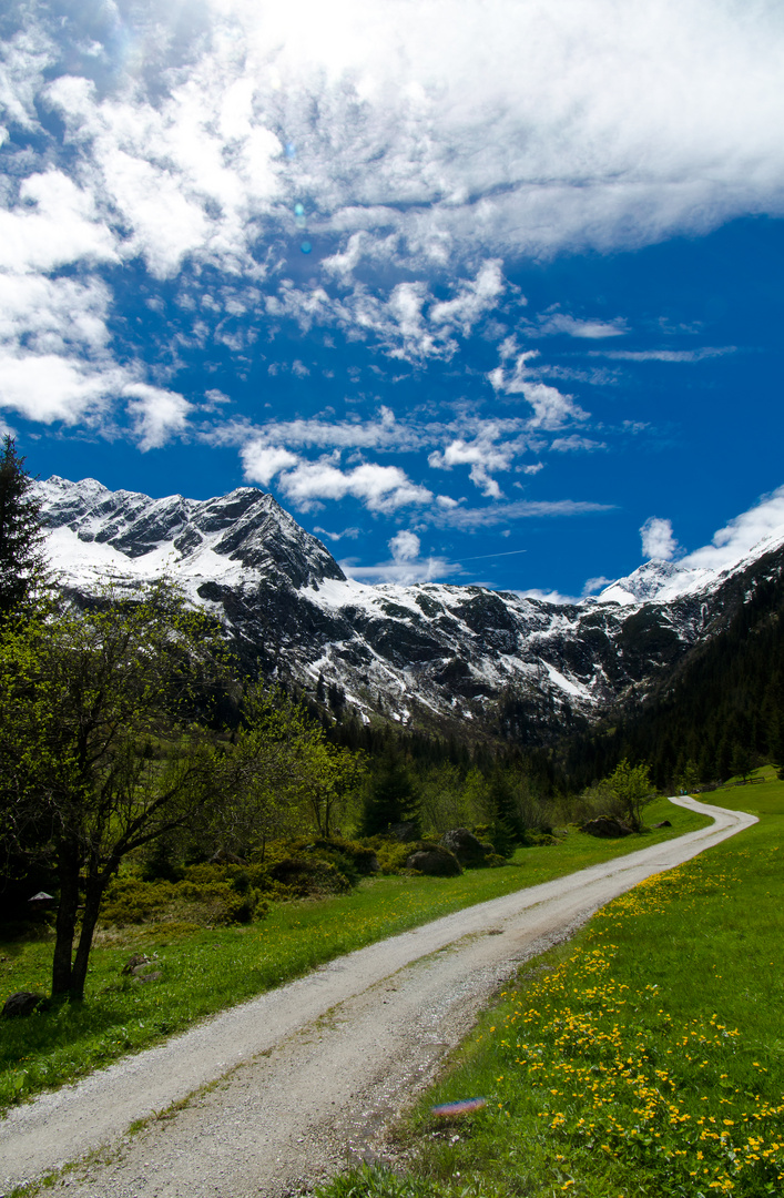 Bergpanorama