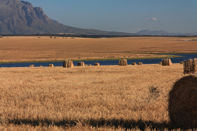 Bergpanorama in Tulbagh 3