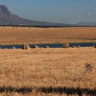 Bergpanorama in Tulbagh 3