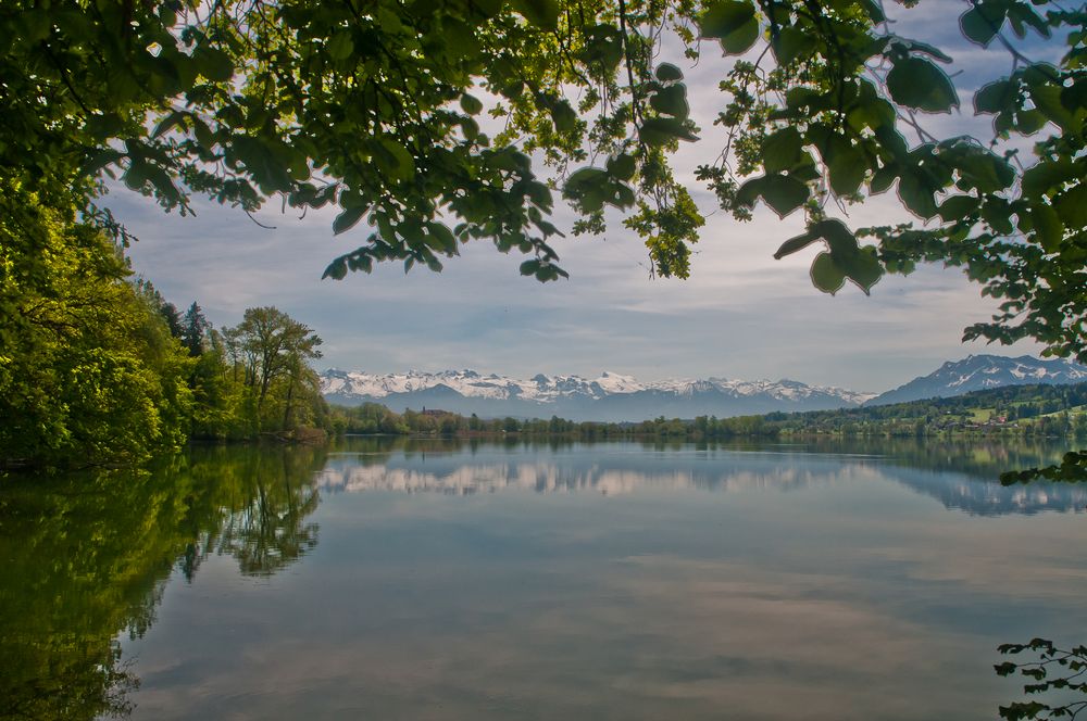 Bergpanorama und Baldeggersee