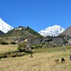 Bergpanorama von Lho im Manaslu-Gebiet