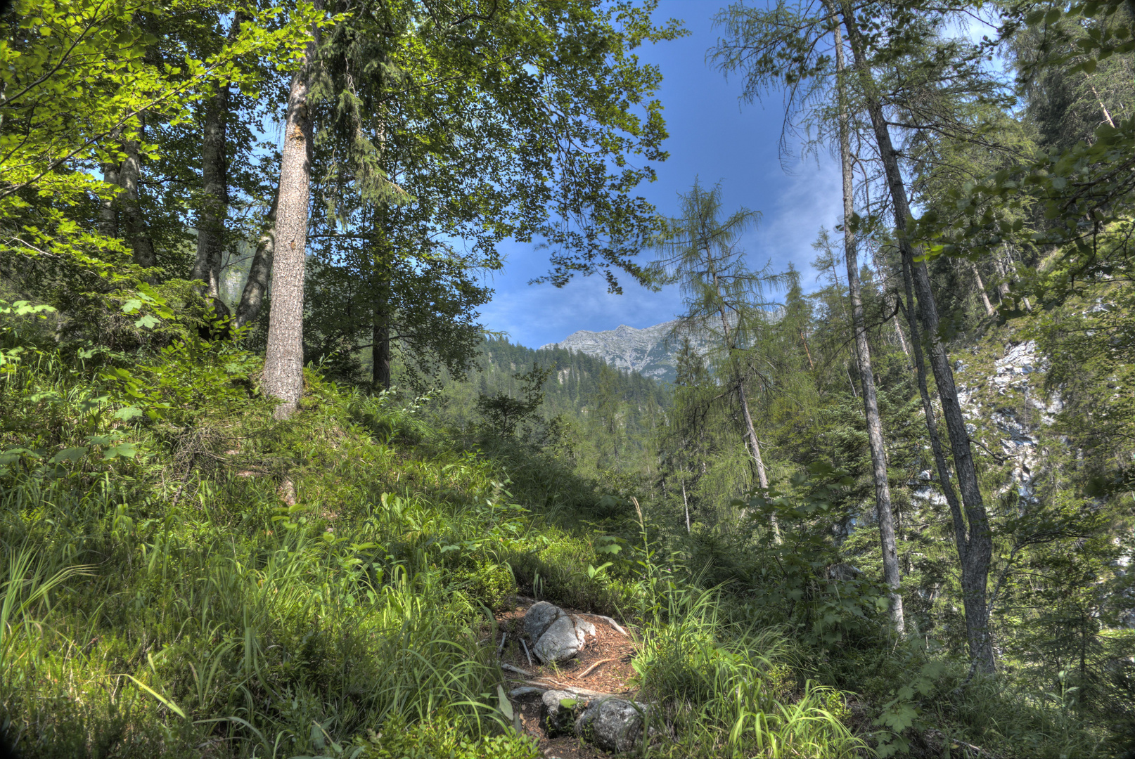 Bergpanorama_Nr.2(HDR)