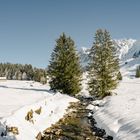 Bergparadies Säntis