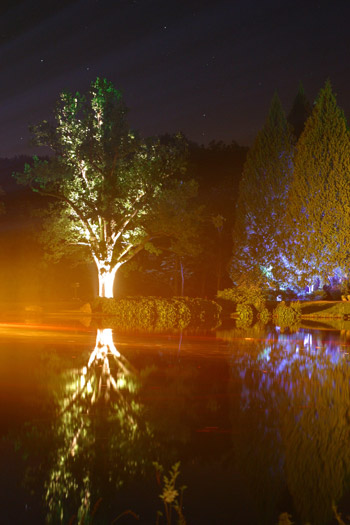 bergpark bei nacht