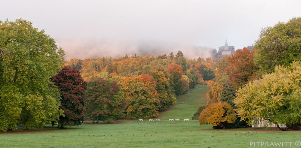 Bergpark im Herbst