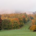 Bergpark im Herbst