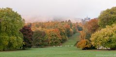 Bergpark im Herbst