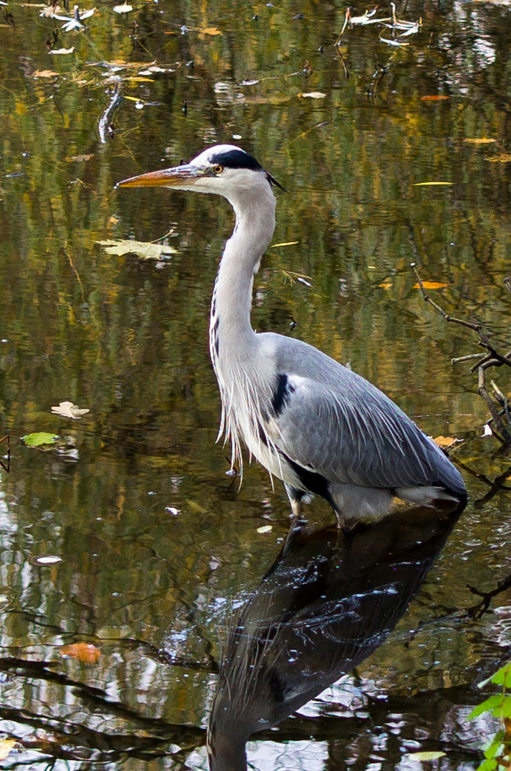 Bergpark Kassel Wilhelmshöhe