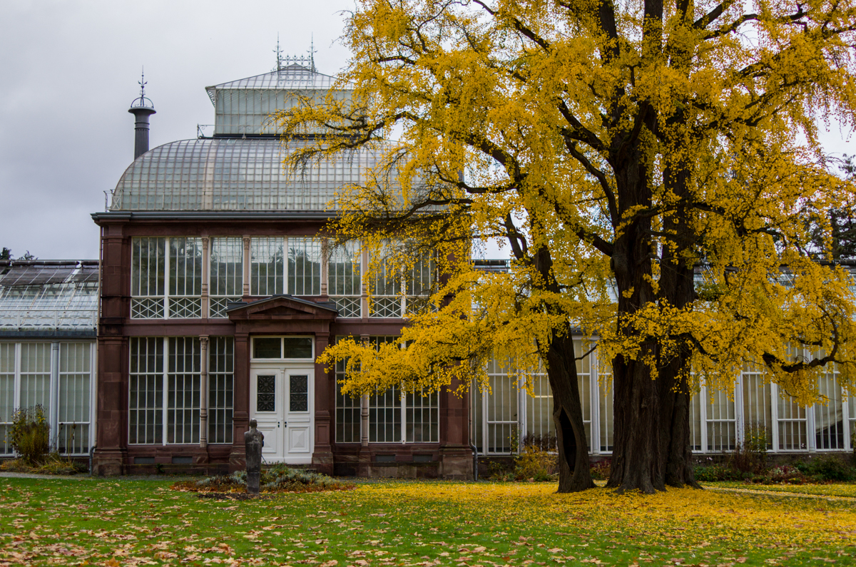 Bergpark Kassel Wilhelmshöhe