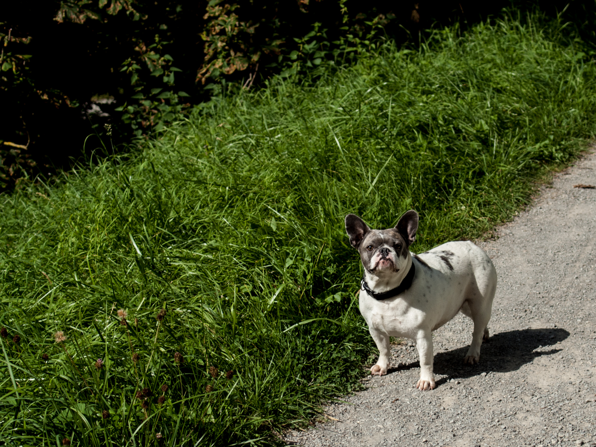 Bergpark Wilhelmshöhe