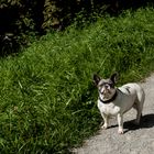 Bergpark Wilhelmshöhe