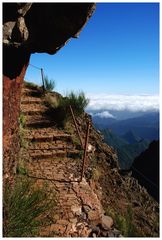 Bergpfad zu Pico Ruivo, Madeira (Nov. 2008)