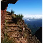 Bergpfad zu Pico Ruivo, Madeira (Nov. 2008)