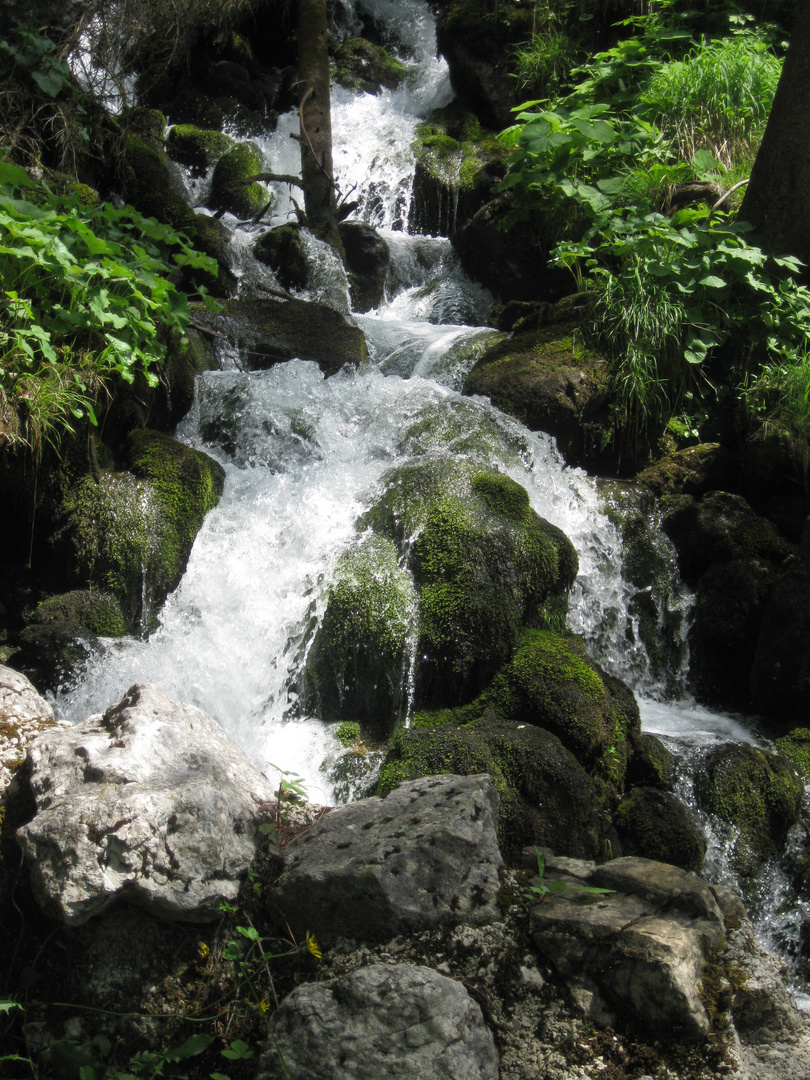 Bergquelle im Nationalpark Berchtesgaden