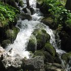 Bergquelle im Nationalpark Berchtesgaden