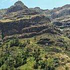 Bergrücken oberhalb La Vizcaina - La Gomera