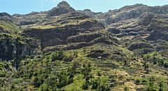 Bergrücken oberhalb La Vizcaina - La Gomera