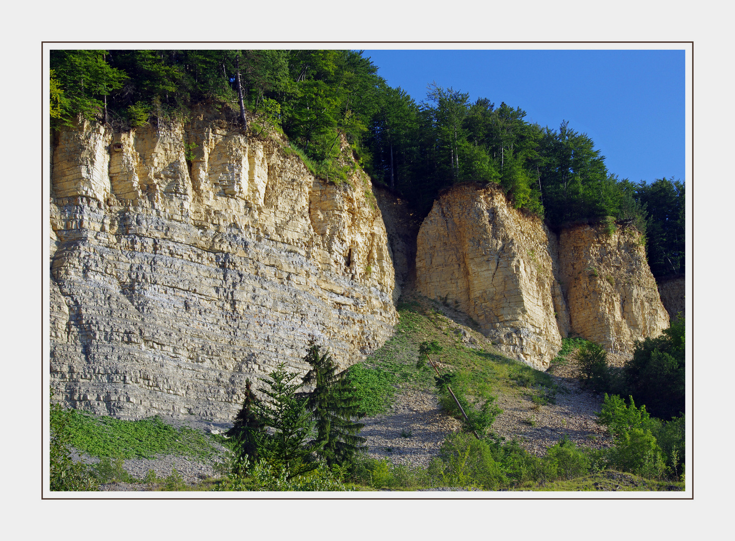 Bergrutsch am Hirschkopf