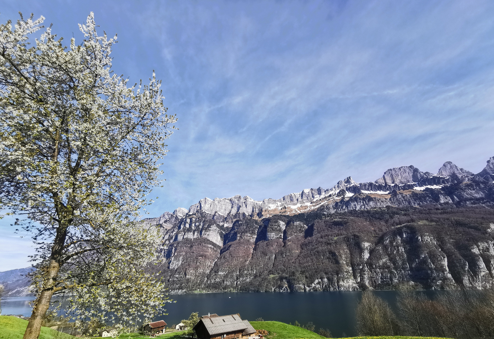 Bergsboden Walensee