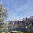 Bergsboden Walensee