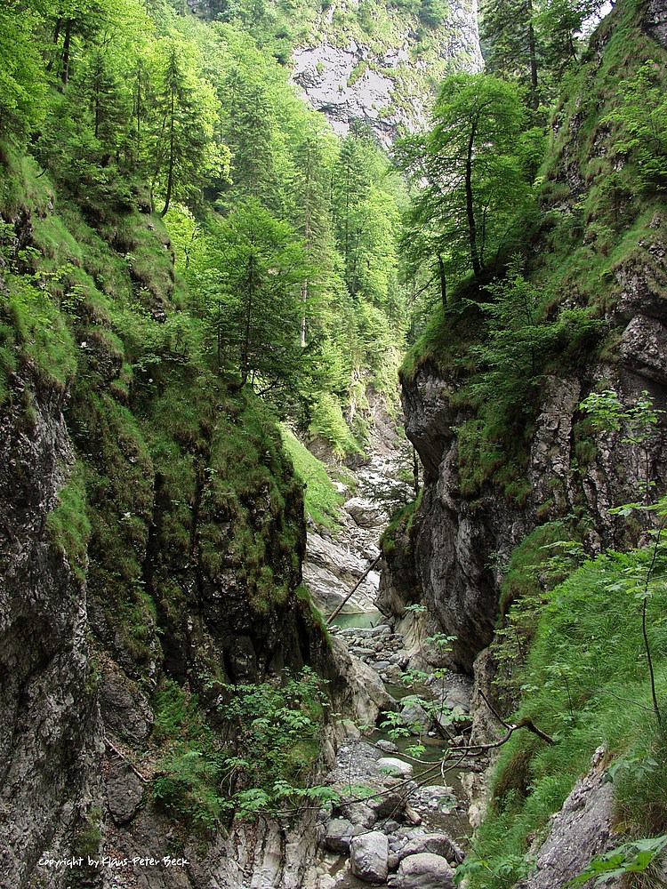 Bergschlucht in Vorarlberg