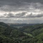 Bergschluchtenpfad - Brodenbach/Mosel