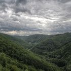 Bergschluchtenpfad - Brodenbach/Mosel II