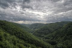 Bergschluchtenpfad - Brodenbach/Mosel II