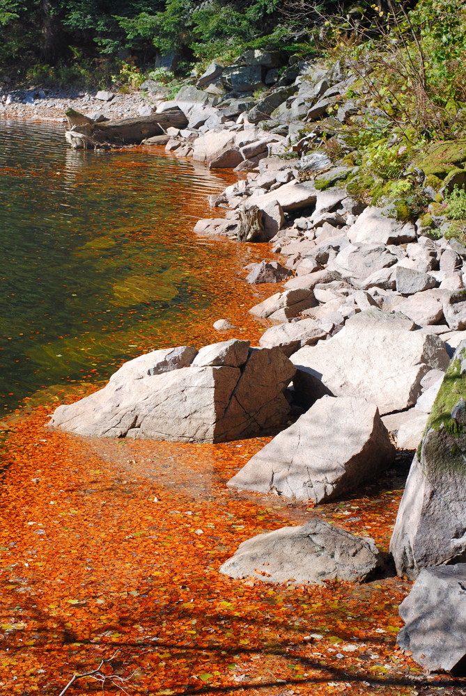 Bergsee