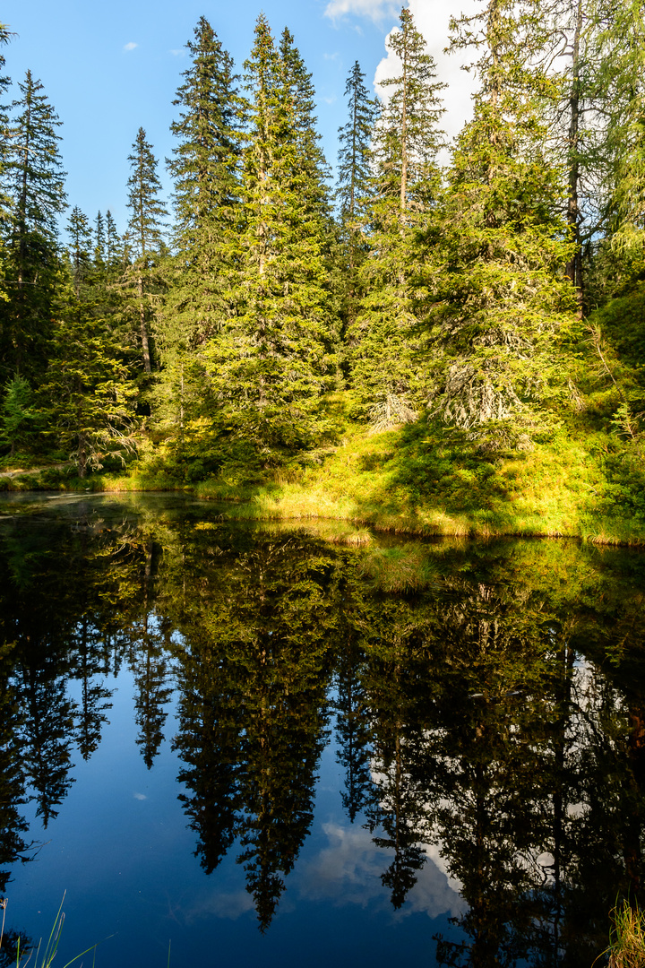 Bergsee