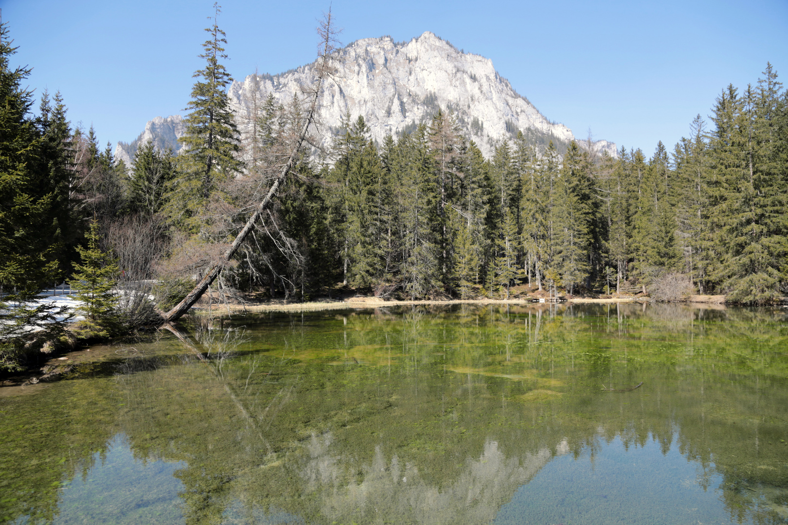 Bergsee