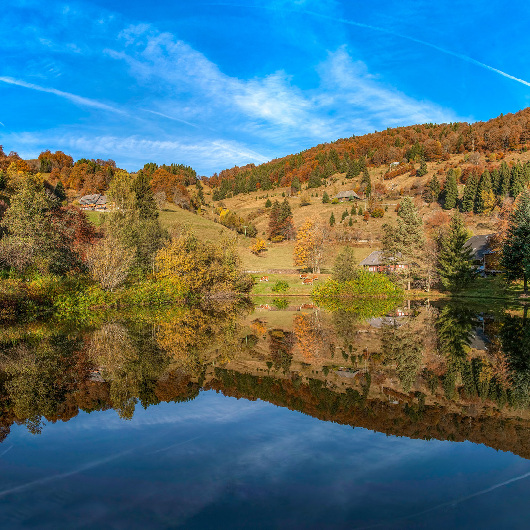 Bergsee-2500