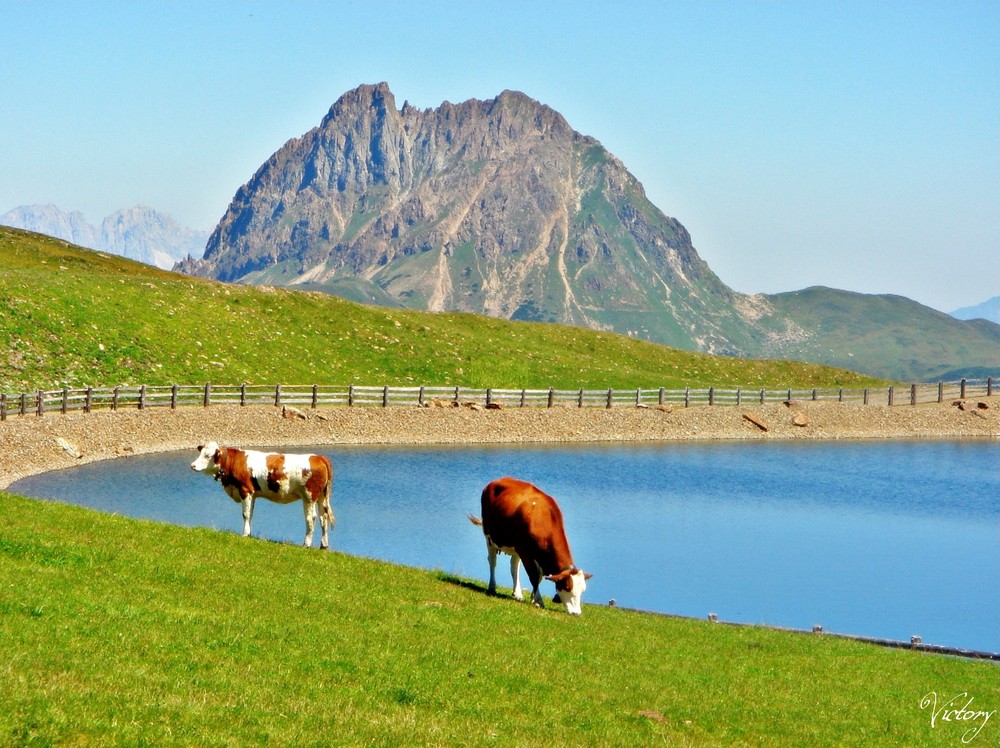 Bergsee