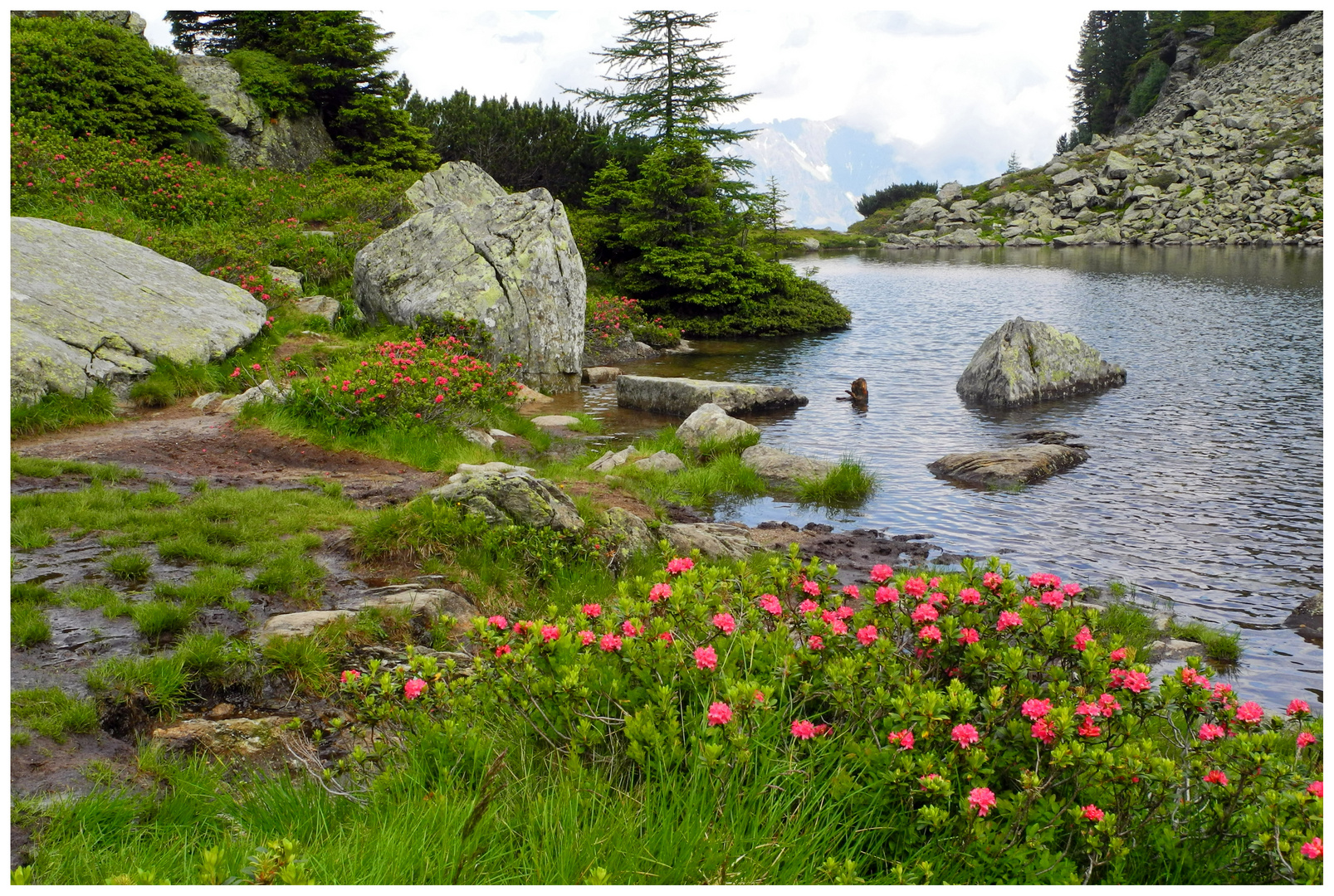 Bergsee.