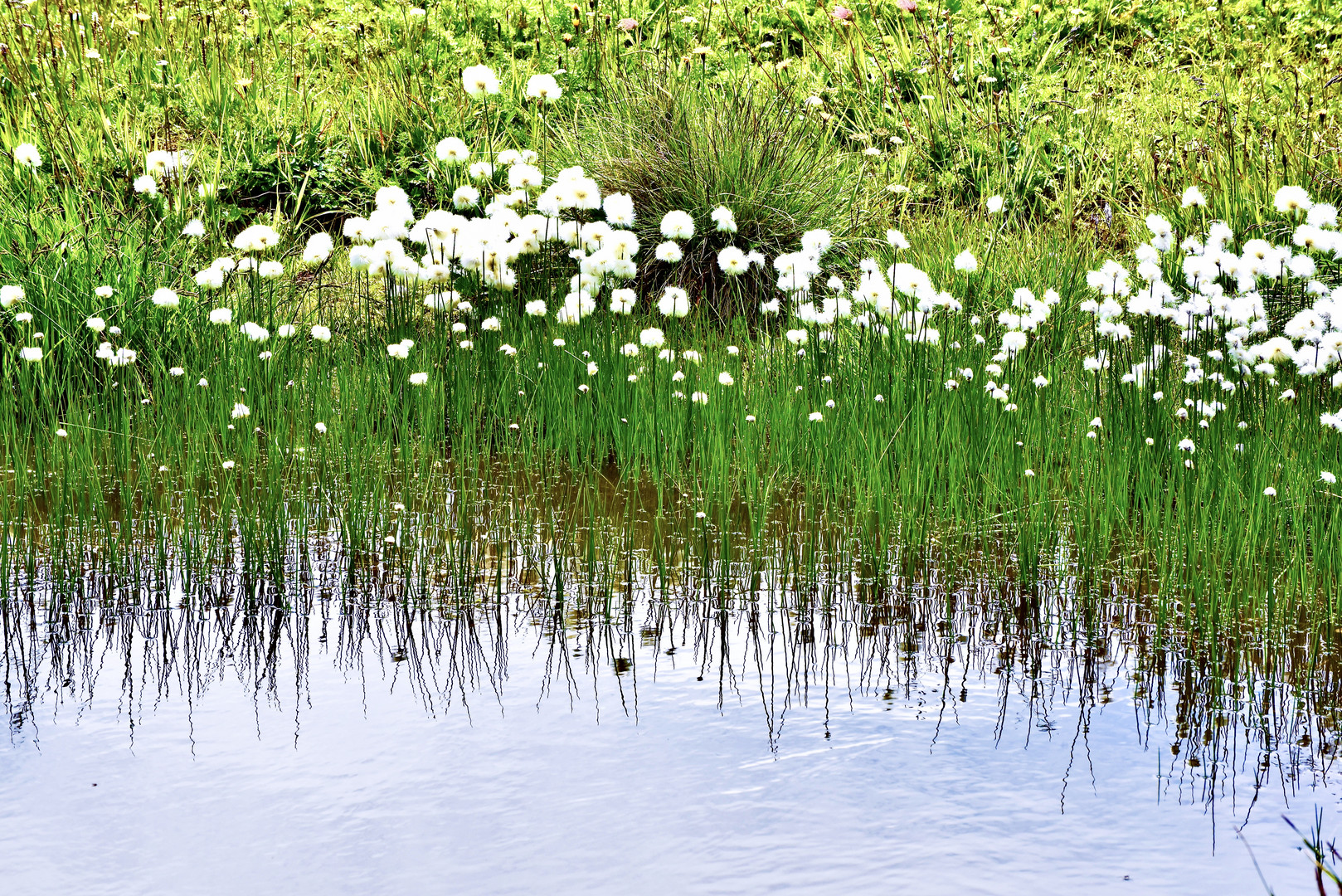 Bergsee.