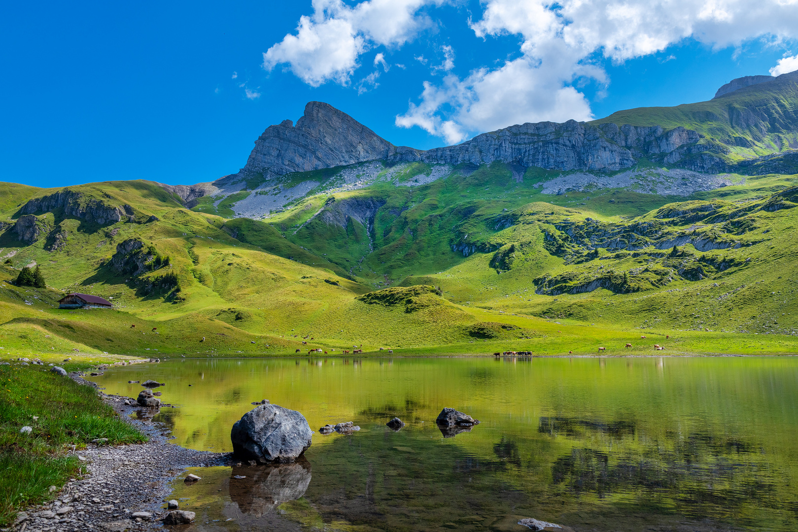 Bergsee